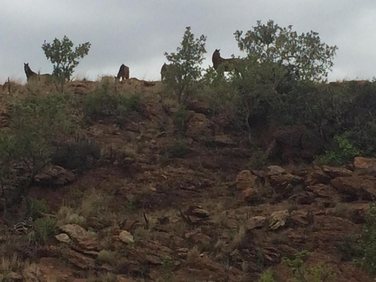 Mount Nebo Hillside Reserve Villa Muldersdrift Luaran gambar